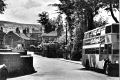 Sutton Bus Terminus 1950s