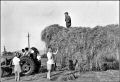 1957 hay make