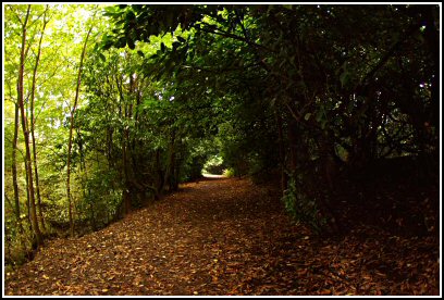 Sutton Clough in the Autumn