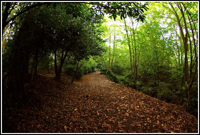 Sutton Clough in the Autumn