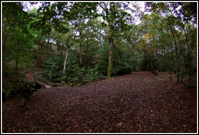 Sutton Clough in the Autumn