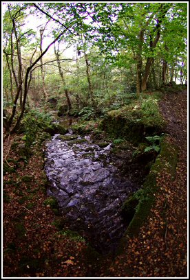 Sutton Clough in the Autumn