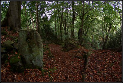 Sutton Clough in the Autumn