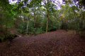 Autumn walk through Sutton Clough