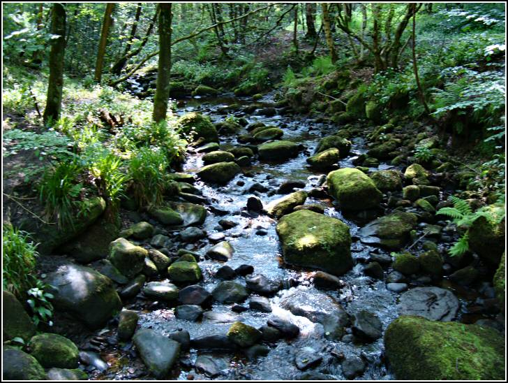 Sutton Clough