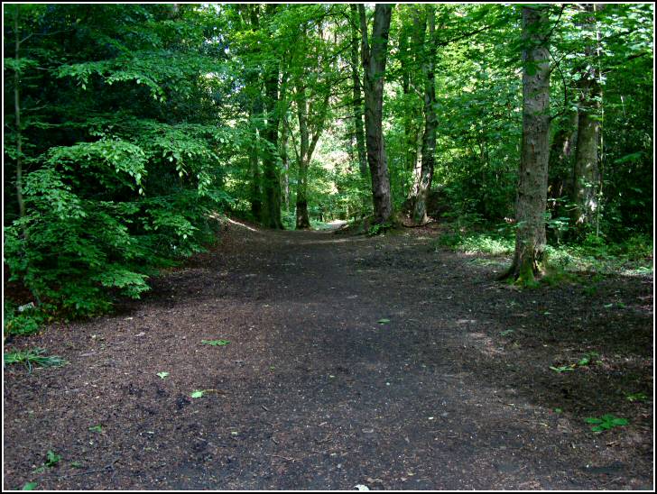 Sutton Clough