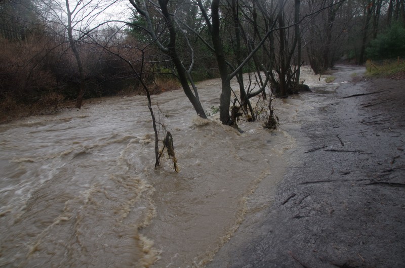 Boxing Day Deluge