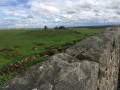 War-time Observation Post