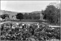 Old photo of Sutton Park