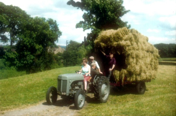 hay making