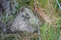 Boundary Stones