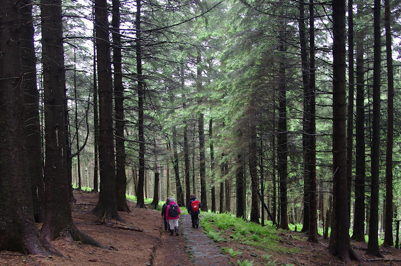 Rambling Club