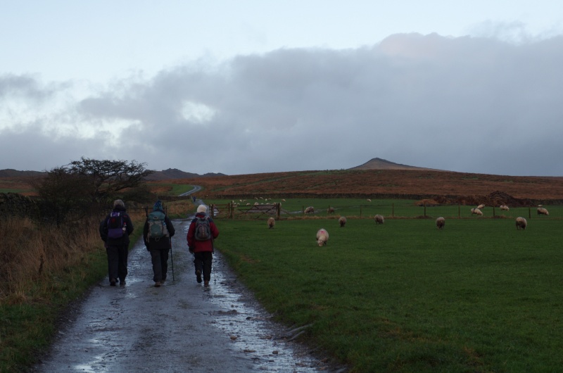 Rambling Club