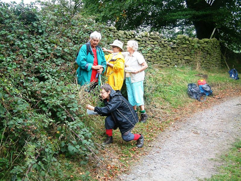 Rambling Club