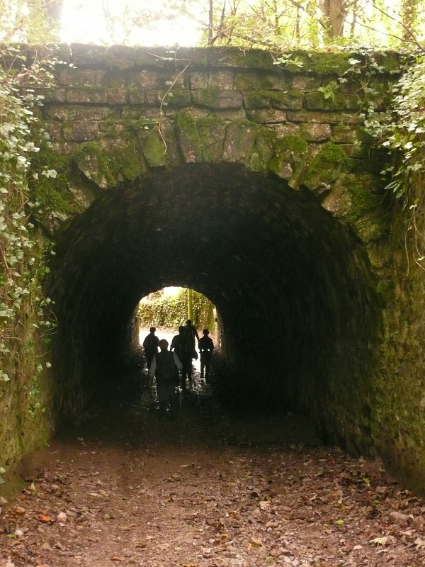 Rambling Club