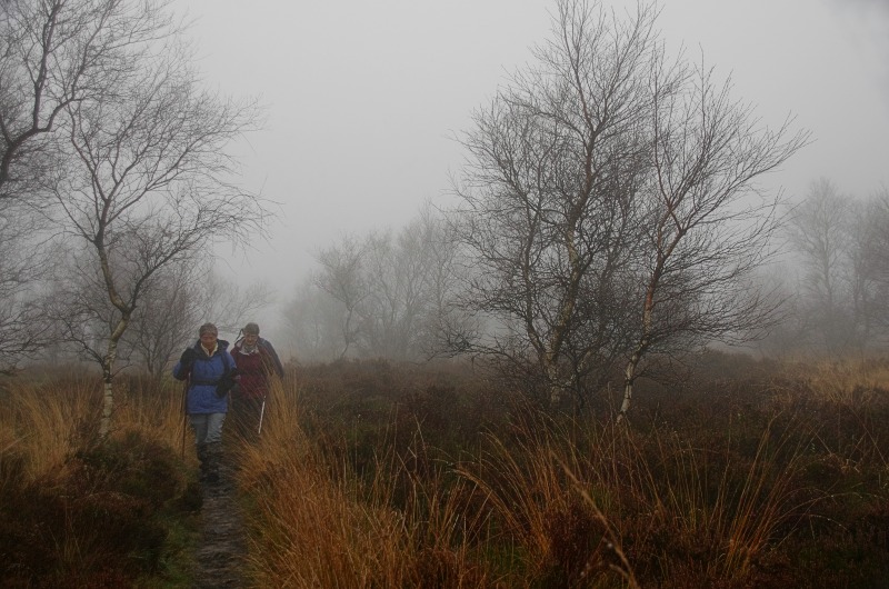 Rambling Club