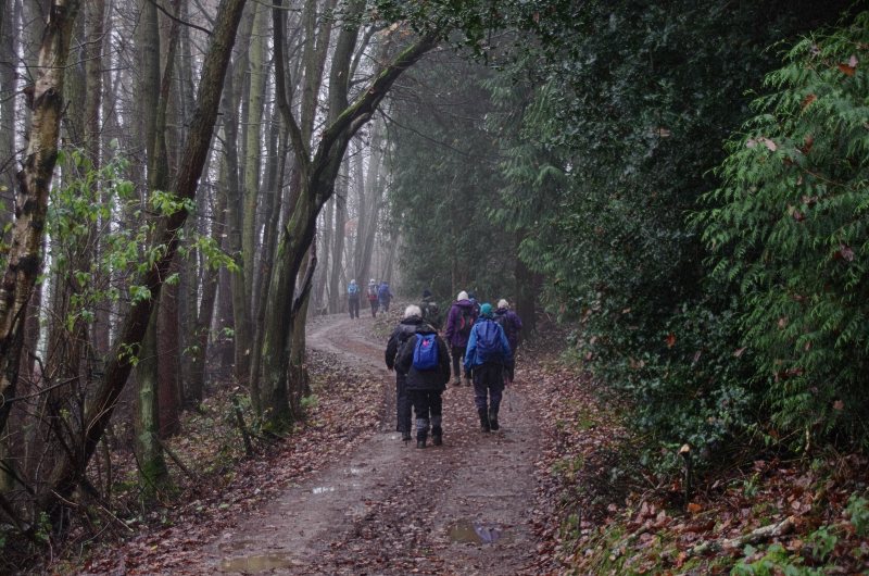 Rambling Club