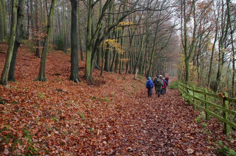 Rambling Club