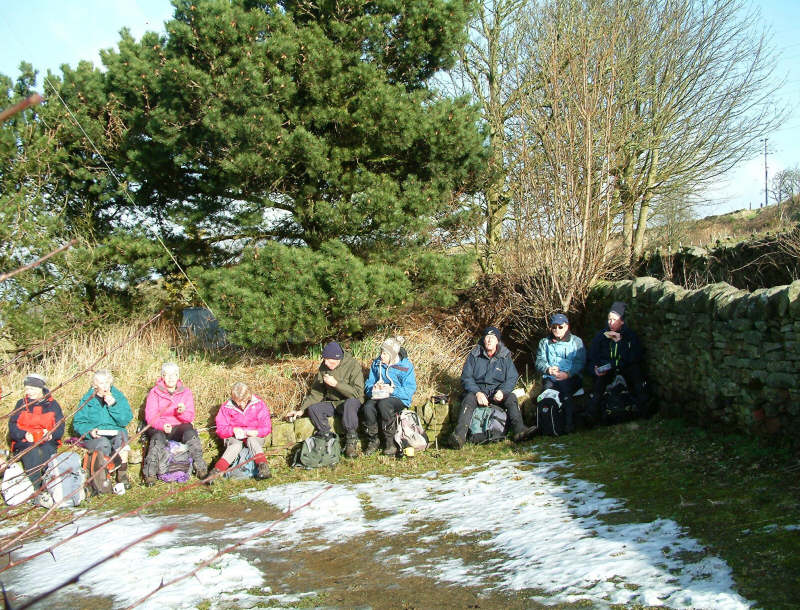 Rambling Club