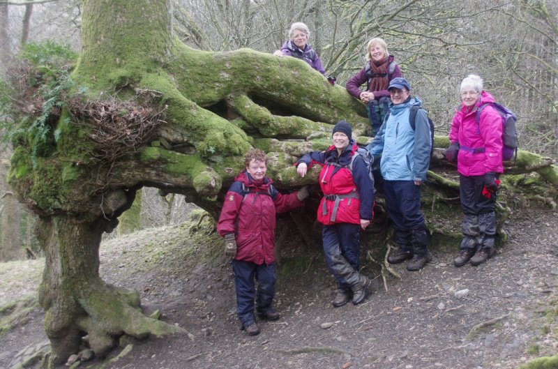 Rambling Club