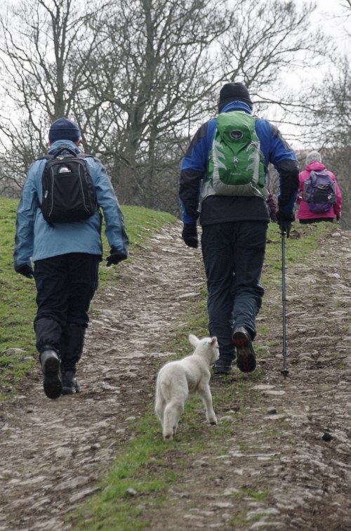 Rambling Club