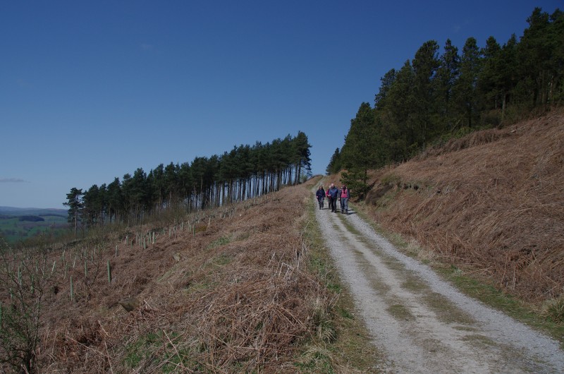 Rambling Club