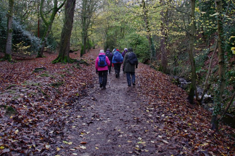 Rambling Club