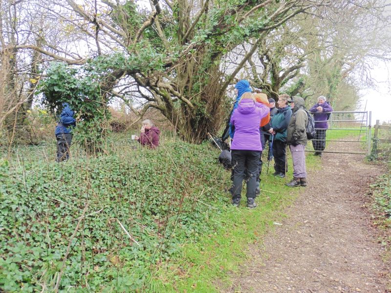 Rambling Club