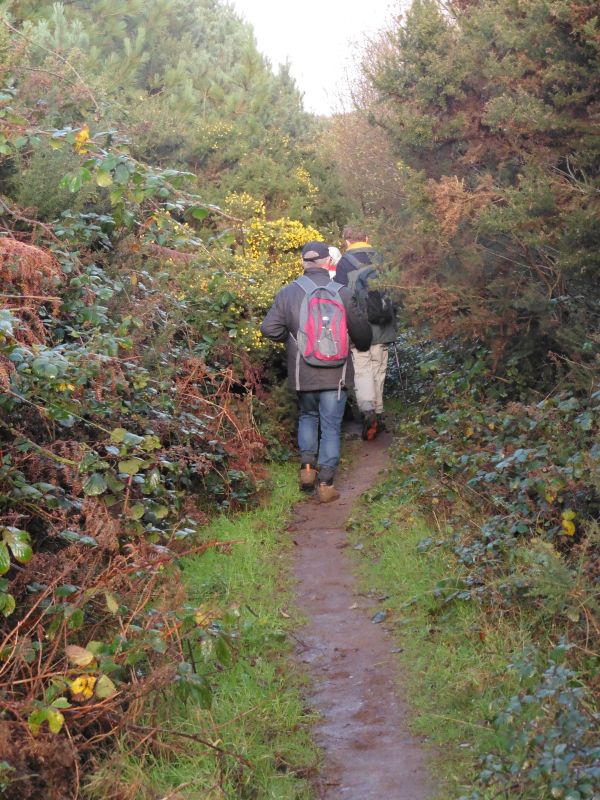 Rambling Club