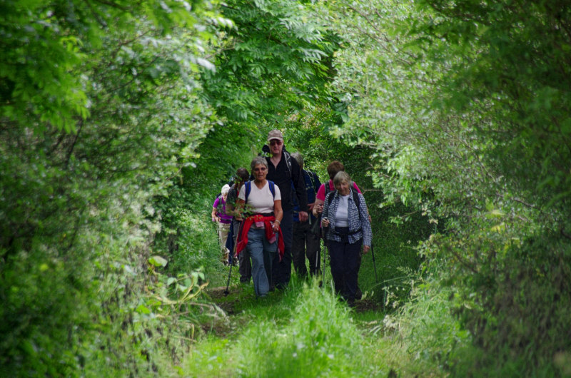 Rambling Club