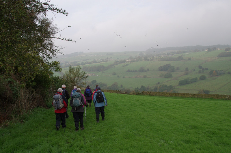 Rambling Club