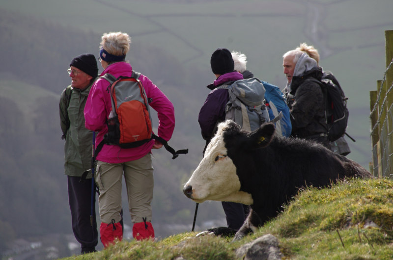 Rambling Club