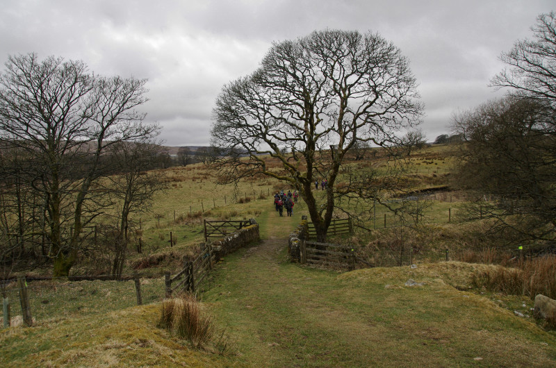 Rambling Club