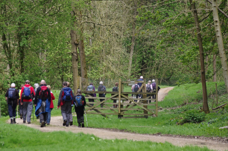 Rambling Club