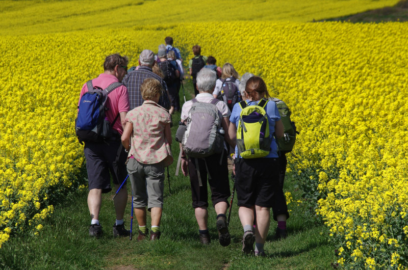 Rambling Club