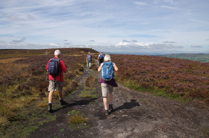 Rambling Club