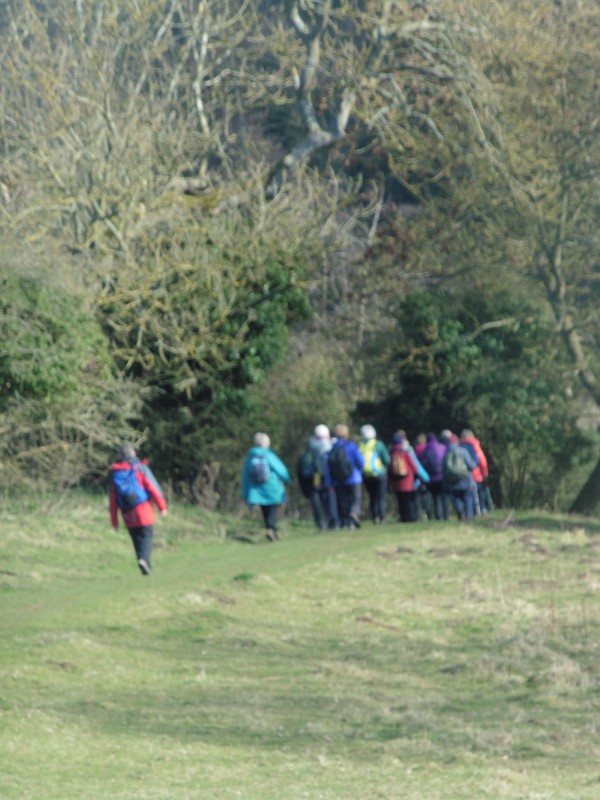 Rambling Club