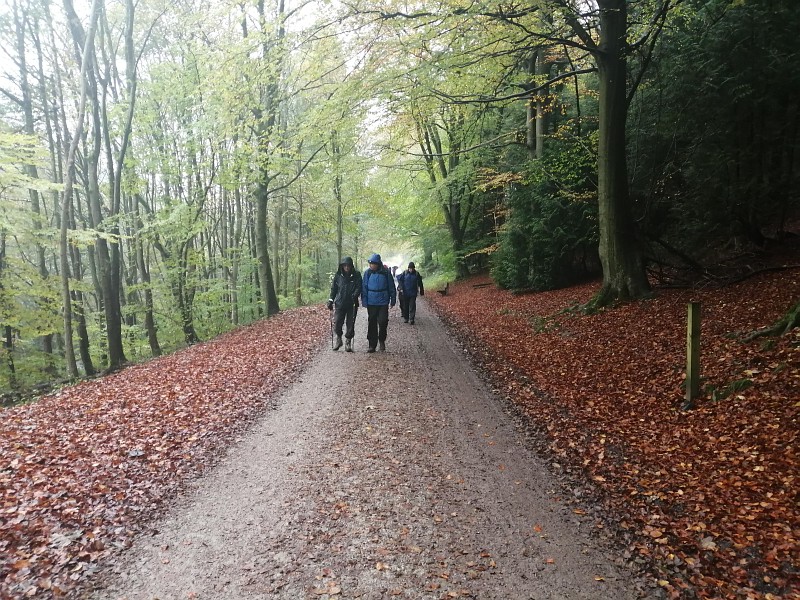 Rambling Club