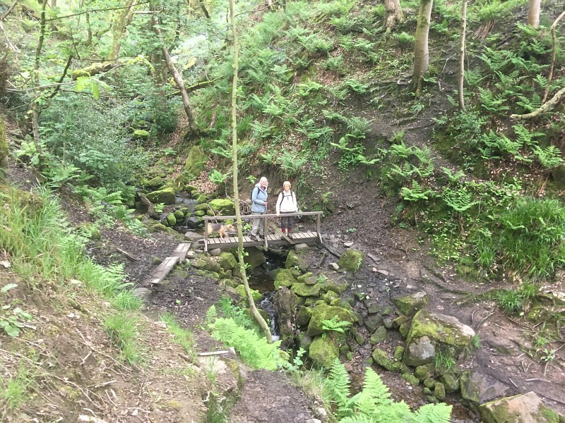 Rambling Club