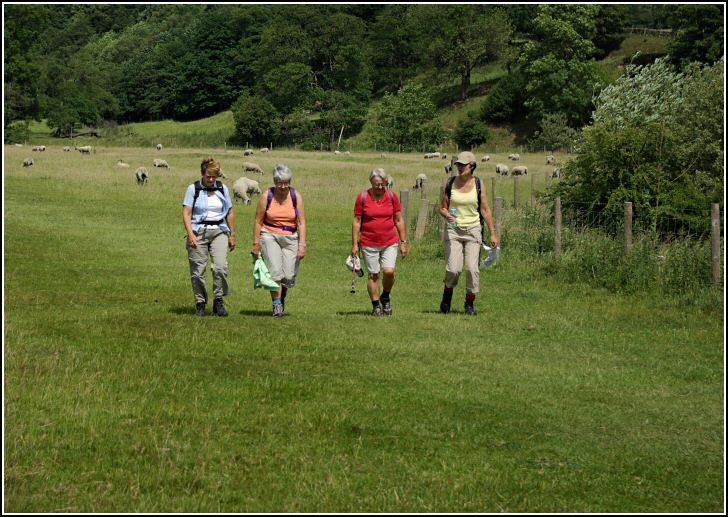 Rambling Club