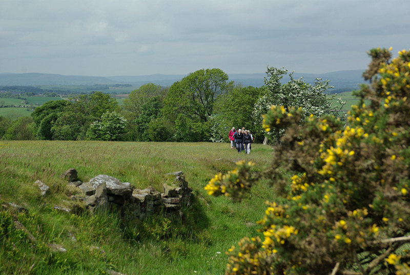 Rambling Club