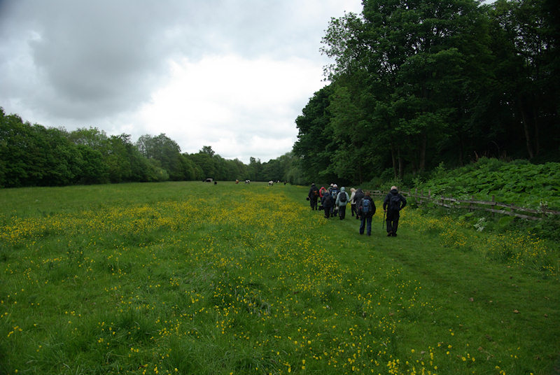 Rambling Club