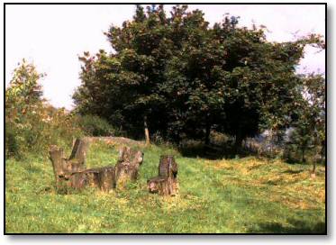 part of Crag Nook Delph picnic area